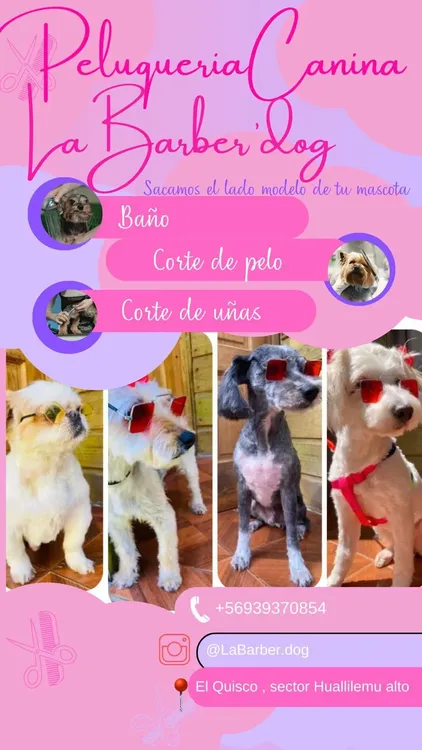 14481eb7-fa85-469e-a727-96d03a68324d