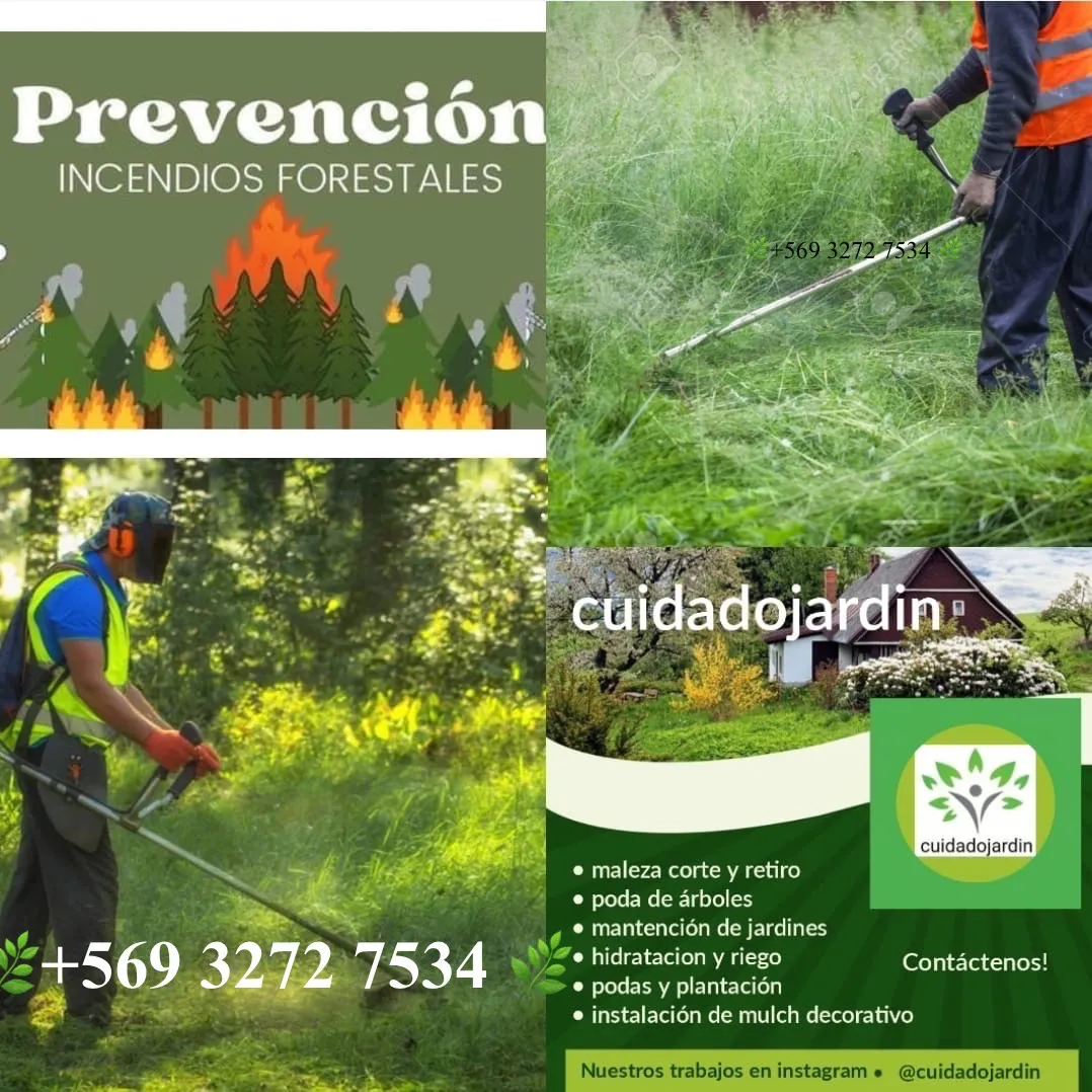 997cf5d3-69ba-4444-89aa-932259e1686b